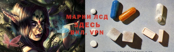индика Арсеньев
