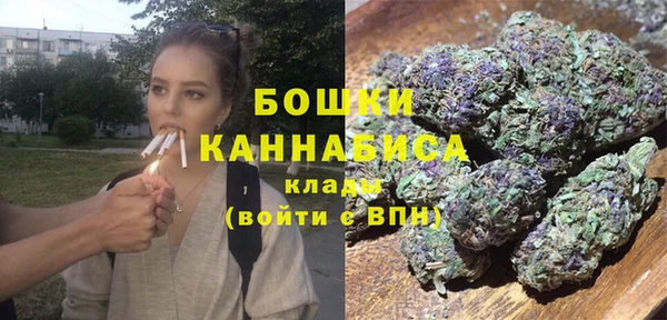 стафф Аркадак