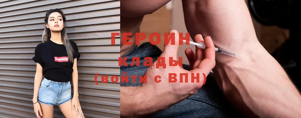 индика Арсеньев
