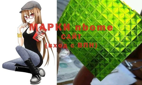 индика Арсеньев