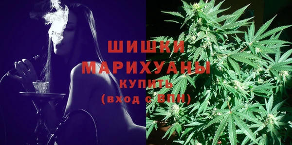 индика Арсеньев