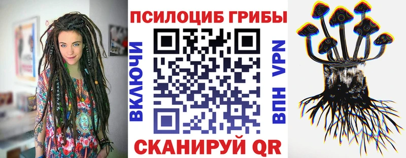 наркотики  Радужный  Псилоцибиновые грибы мицелий 
